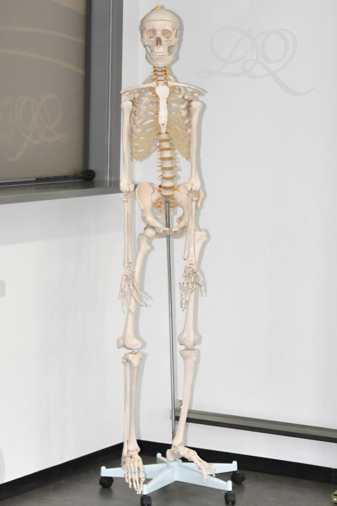 Physio Quent Johannisplatz 21 Physio Quent Johannisplatz 21