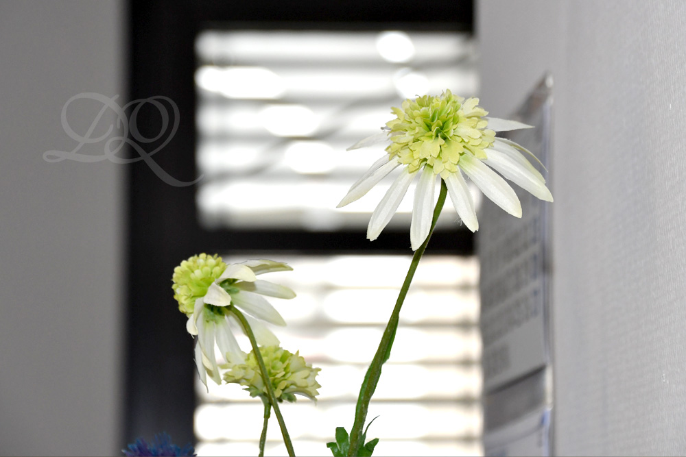 Physio Quent Johannisplatz 21 Physio Quent Johannisplatz 21